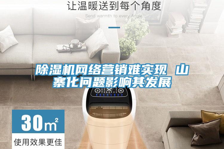 除濕機網絡營銷難實現 山寨化問題影響其發展
