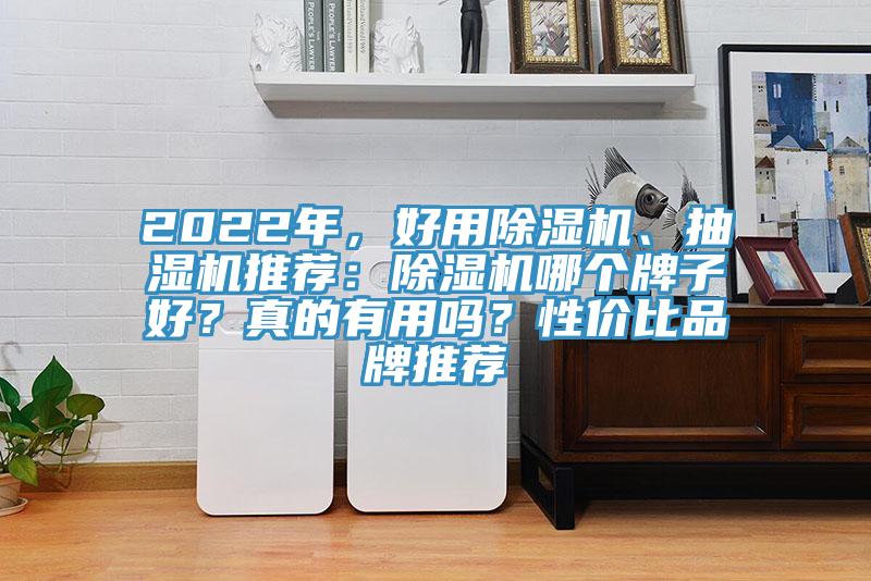 2022年，好用除濕機、抽濕機推薦：除濕機哪個牌子好？真的有用嗎？性價比品牌推薦