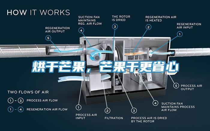 烘干芒果，芒果干更省心