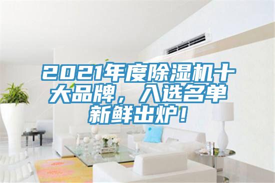 2021年度除濕機十大品牌,入選名單新鮮出爐!