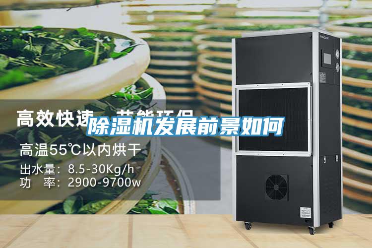 除濕機發展前景如何