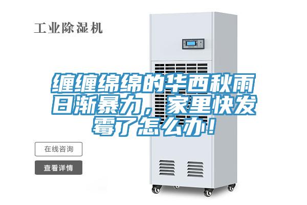 纏纏綿綿的華西秋雨日漸暴力，家里快發霉了怎么辦！