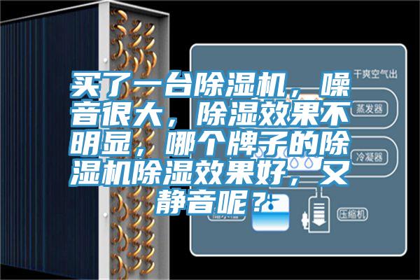 買了一臺除濕機，噪音很大，除濕效果不明顯，哪個牌子的除濕機除濕效果好，又靜音呢？
