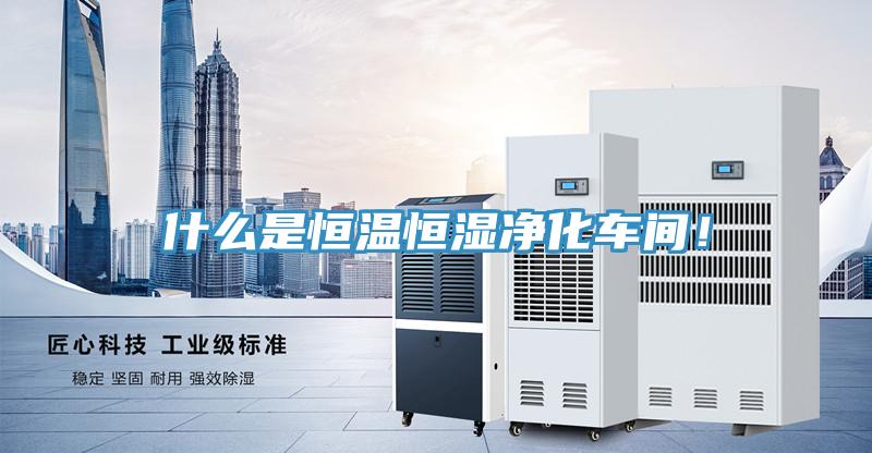 什么是恒溫恒濕凈化車間！