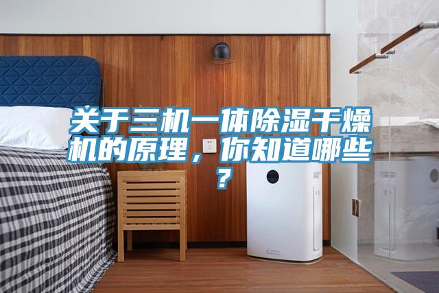 關于三機一體除濕干燥機的原理，你知道哪些？