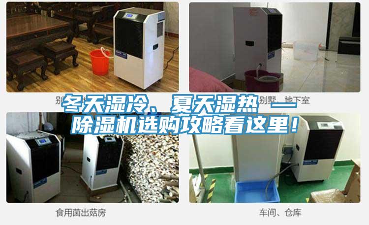 冬天濕冷、夏天濕熱 — 除濕機選購攻略看這里！