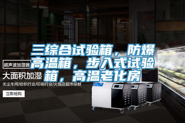 三綜合試驗箱，防爆高溫箱，步入式試驗箱，高溫老化房