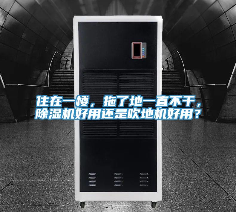 住在一樓，拖了地一直不干，除濕機好用還是吹地機好用？