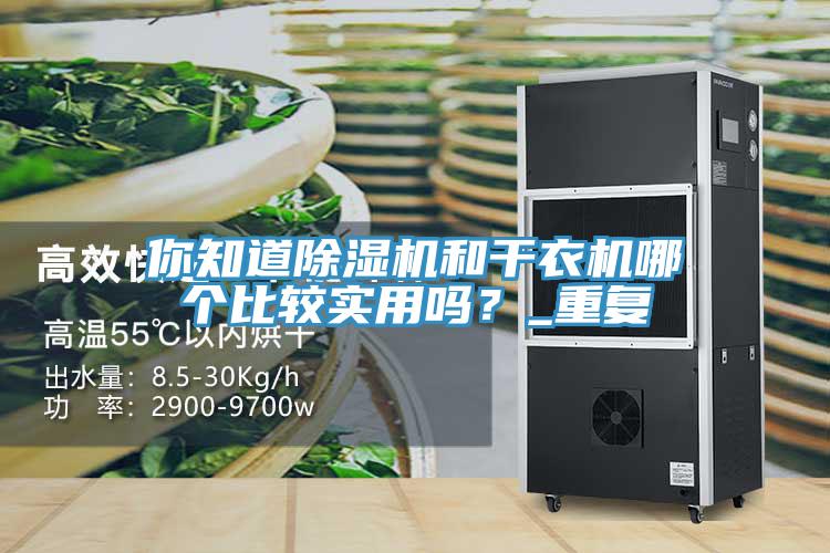 你知道除濕機和干衣機哪個比較實用嗎？_重復