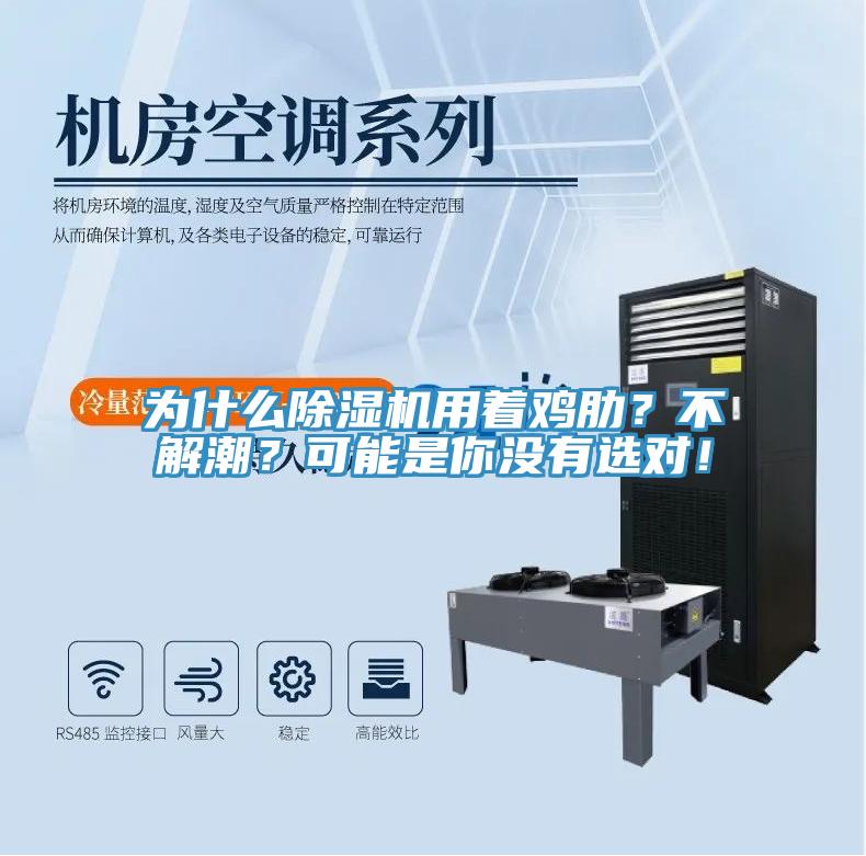 為什么除濕機(jī)用著雞肋？不解潮？可能是你沒有選對(duì)！
