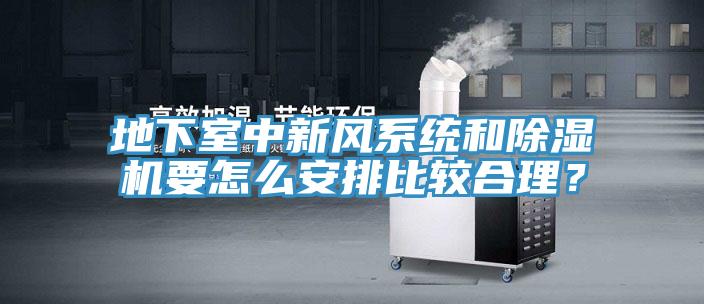 地下室中新風系統和除濕機要怎么安排比較合理?