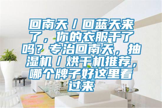 回南天／回藍天來了，你的衣服干了嗎？專治回南天，抽濕機／烘干機推薦，哪個牌子好這里看過來