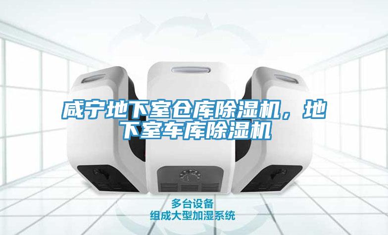 咸寧地下室倉(cāng)庫(kù)除濕機(jī)，地下室車(chē)庫(kù)除濕機(jī)