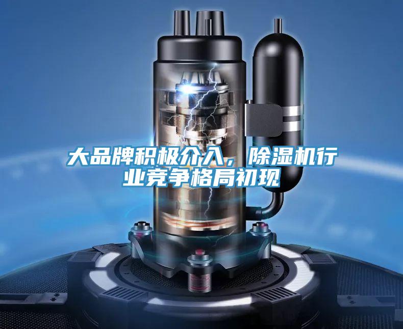 大品牌積極介入，除濕機行業競爭格局初現