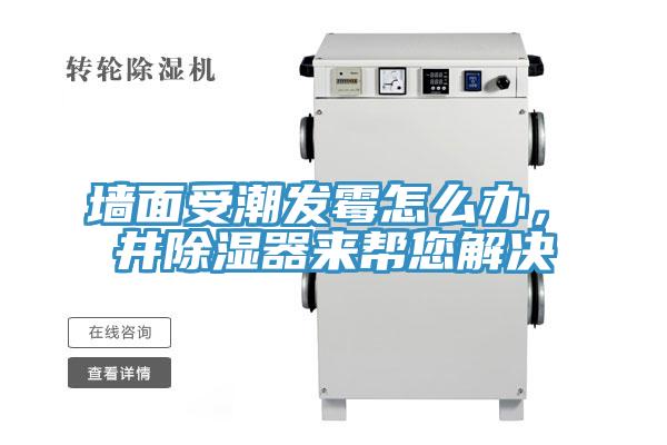 墻面受潮發(fā)霉怎么辦，東井除濕器來幫您解決