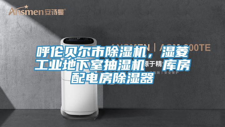 呼倫貝爾市除濕機，濕菱工業地下室抽濕機  庫房配電房除濕器