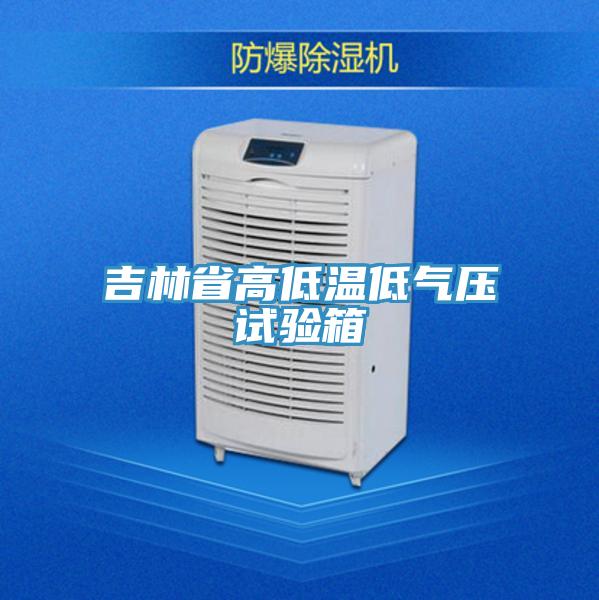 吉林省高低溫低氣壓試驗箱