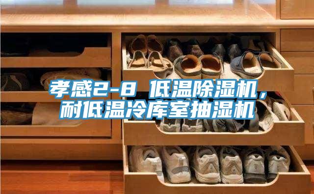 孝感2-8℃低溫除濕機，耐低溫冷庫室抽濕機