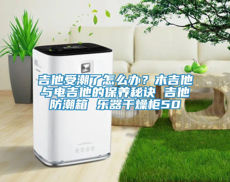 吉他受潮了怎么辦?木吉他與電吉他的保養秘訣 吉他防潮箱 樂器干燥柜50
