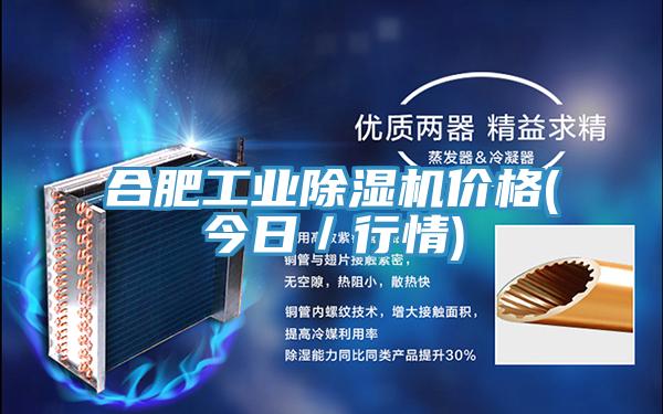 合肥工業除濕機價格(今日/行情)