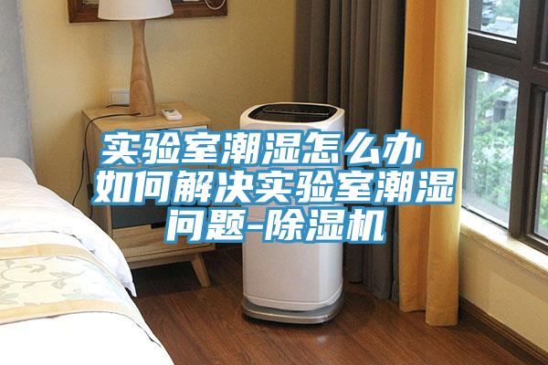 實驗室潮濕怎么辦 如何解決實驗室潮濕問題-除濕機(jī)