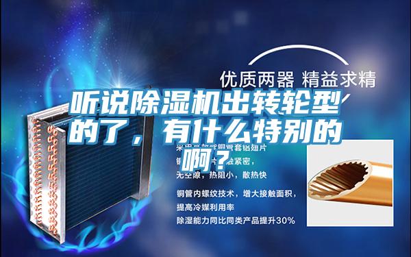 聽說除濕機出轉輪型的了，有什么特別的啊？