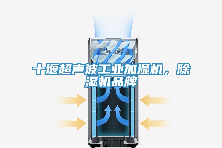 十堰超聲波工業(yè)加濕機(jī)，除濕機(jī)品牌