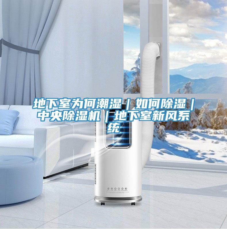 地下室為何潮濕|如何除濕|中央除濕機|地下室新風系統