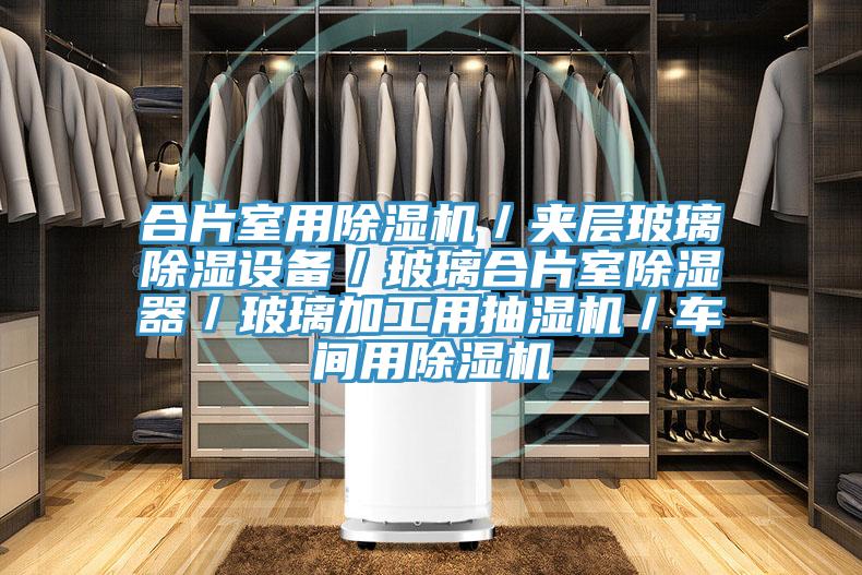 合片室用除濕機/夾層玻璃除濕設備/玻璃合片室除濕器/玻璃加工用抽濕機/車間用除濕機