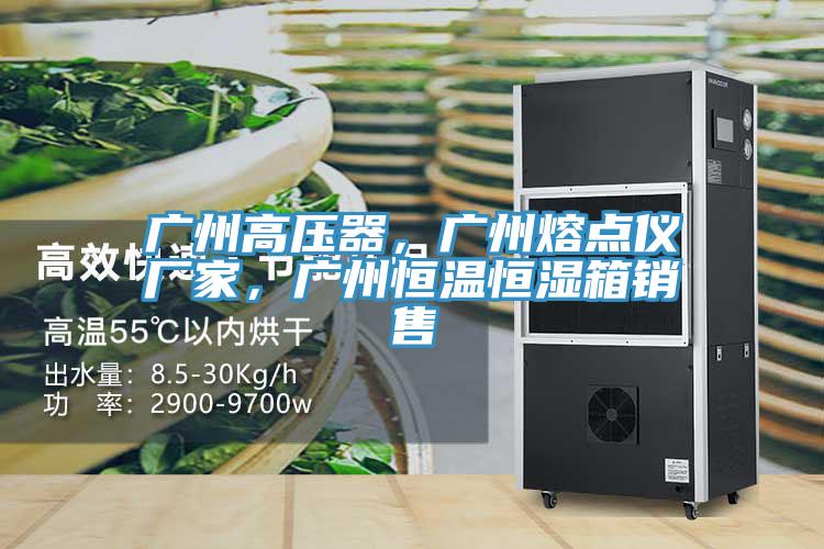 廣州高壓器，廣州熔點(diǎn)儀廠家，廣州恒溫恒濕箱銷售