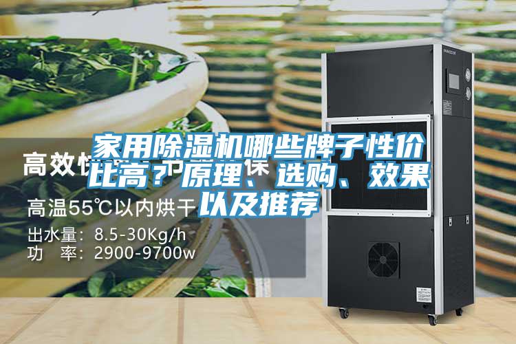 家用除濕機哪些牌子性價比高？原理、選購、效果以及推薦