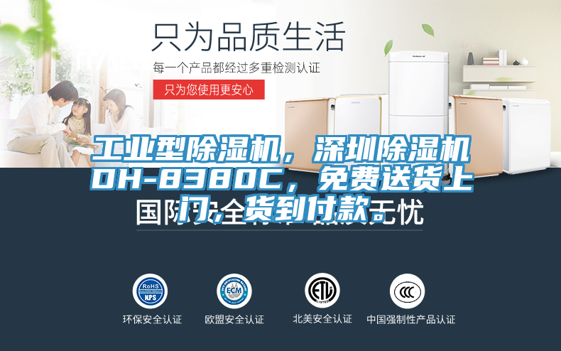 工業(yè)型除濕機，深圳除濕機DH-8380C，免費送貨上門，貨到付款。