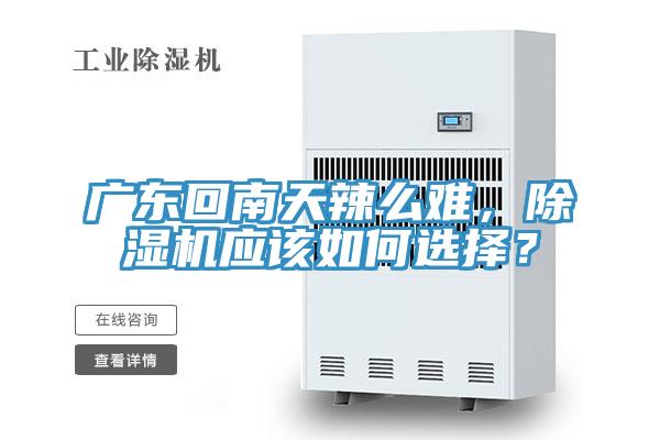 廣東回南天辣么難，除濕機應該如何選擇？
