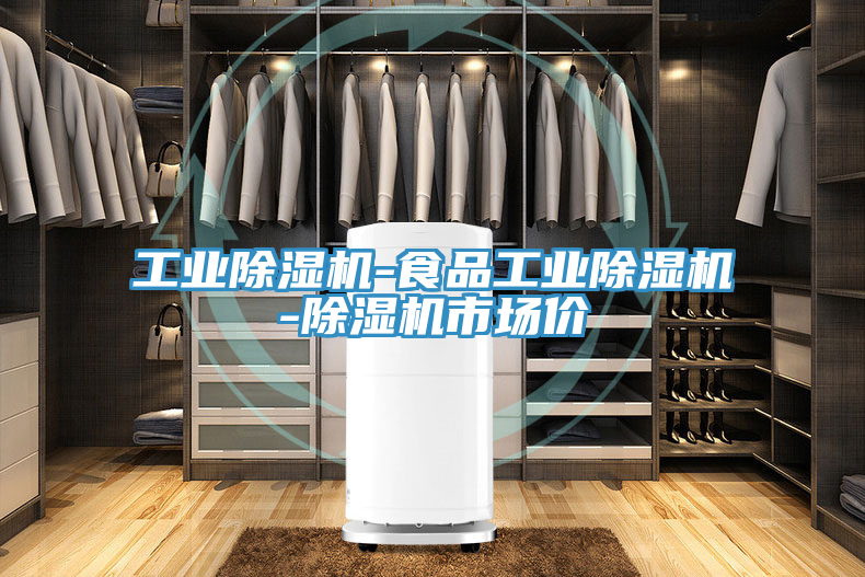 工業除濕機-食品工業除濕機-除濕機市場價