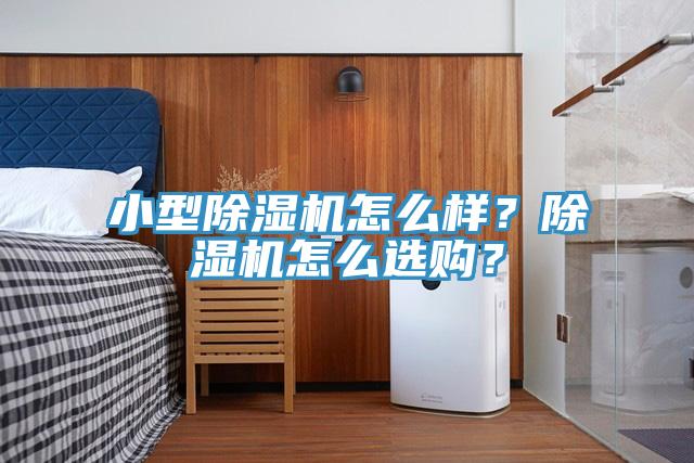 小型除濕機怎么樣？除濕機怎么選購？