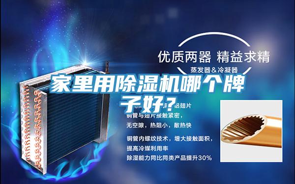 家里用除濕機哪個牌子好？