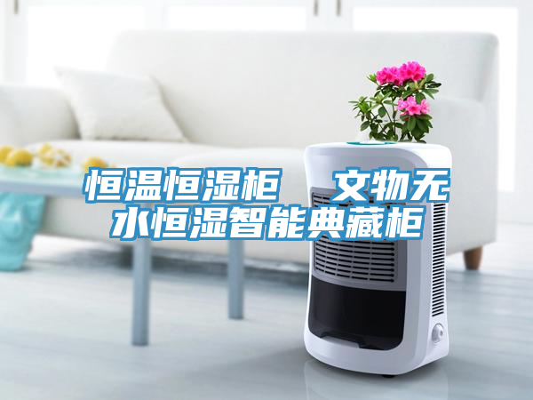 恒溫恒濕柜 文物無水恒濕智能典藏柜