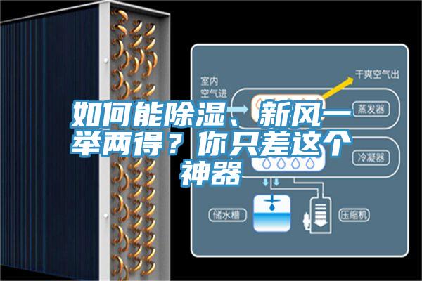 如何能除濕、新風一舉兩得？你只差這個神器