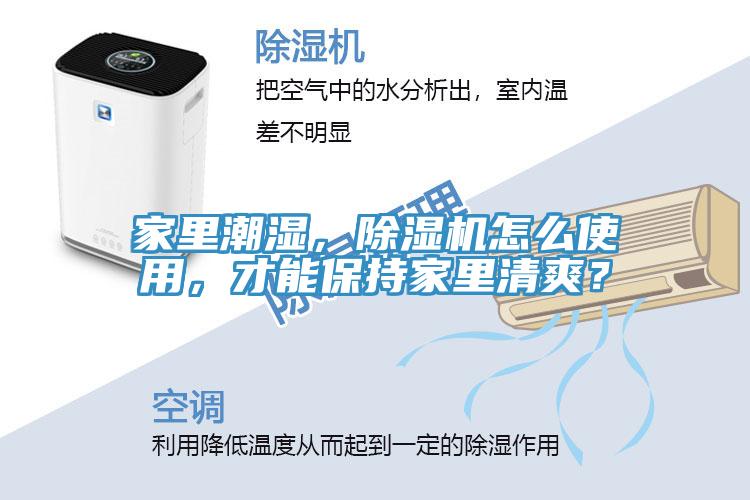 家里潮濕，除濕機怎么使用，才能保持家里清爽？
