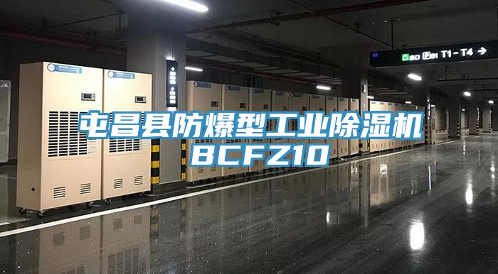 屯昌縣防爆型工業除濕機 BCFZ10