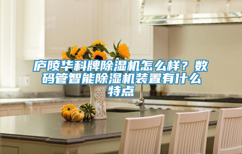 廬陵華科牌除濕機怎么樣？數碼管智能除濕機裝置有什么特點