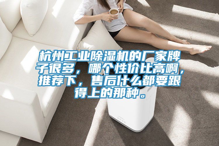 杭州工業(yè)除濕機(jī)的廠家牌子很多，哪個(gè)性價(jià)比高啊，推薦下，售后什么都要跟得上的那種。