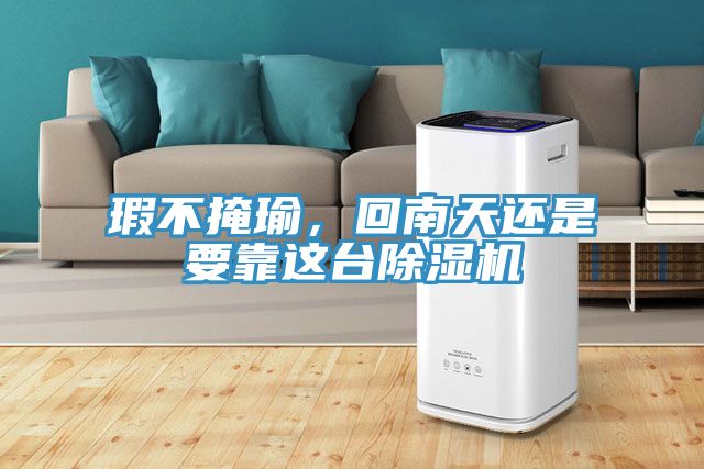 瑕不掩瑜，回南天還是要靠這臺除濕機