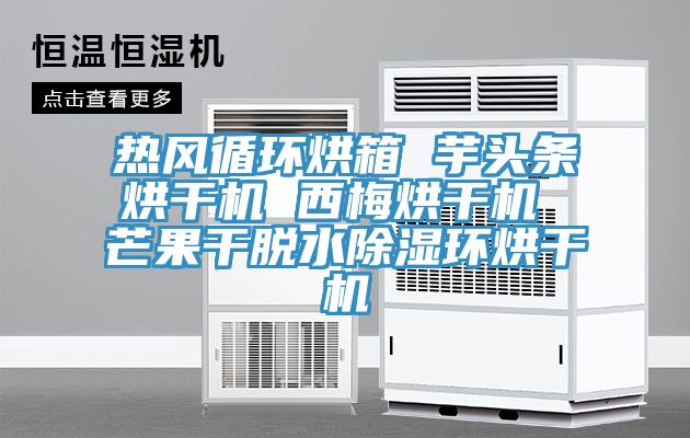 熱風循環烘箱 芋頭條烘干機 西梅烘干機 芒果干脫水除濕環烘干機