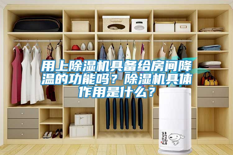 用上除濕機具備給房間降溫的功能嗎？除濕機具體作用是什么？
