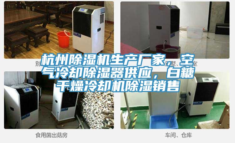 杭州除濕機(jī)生產(chǎn)廠家，空氣冷卻除濕器供應(yīng)，白糖干燥冷卻機(jī)除濕銷售