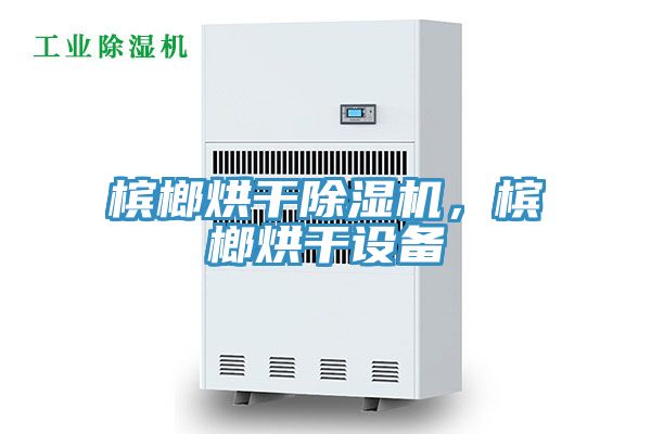 檳榔烘干除濕機，檳榔烘干設(shè)備