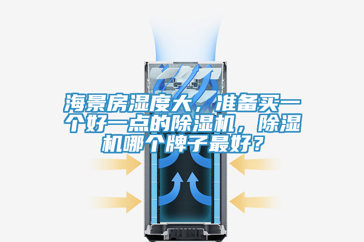 海景房濕度大，準備買一個好一點的除濕機，除濕機哪個牌子最好？