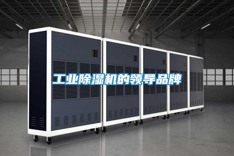 工業(yè)除濕機的領(lǐng)導品牌