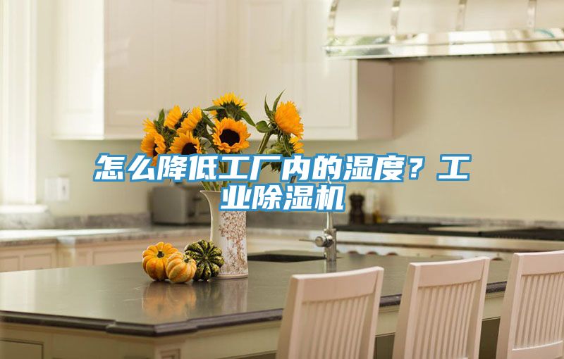 怎么降低工廠內的濕度？工業除濕機